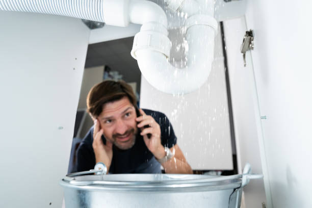 Best Sprinkler Systems  in Old Fig Garden, CA
